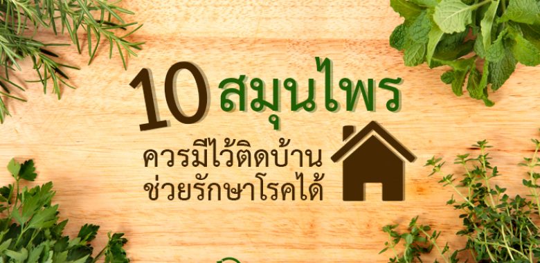 10 สมุนไพรไทย ควรมีไว้ติดบ้าน ช่วยรักษาโรคได้