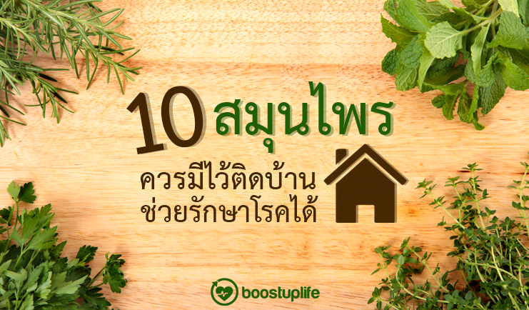 10 สมุนไพรไทย ควรมีไว้ติดบ้าน ช่วยรักษาโรคได้